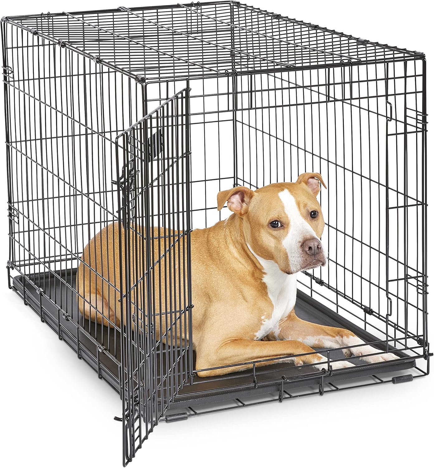 36-Inch iCrate Folding Dog Crate with Divider Panel, Leak-Proof Tray & Secure Latches – Metal Wire Kennel