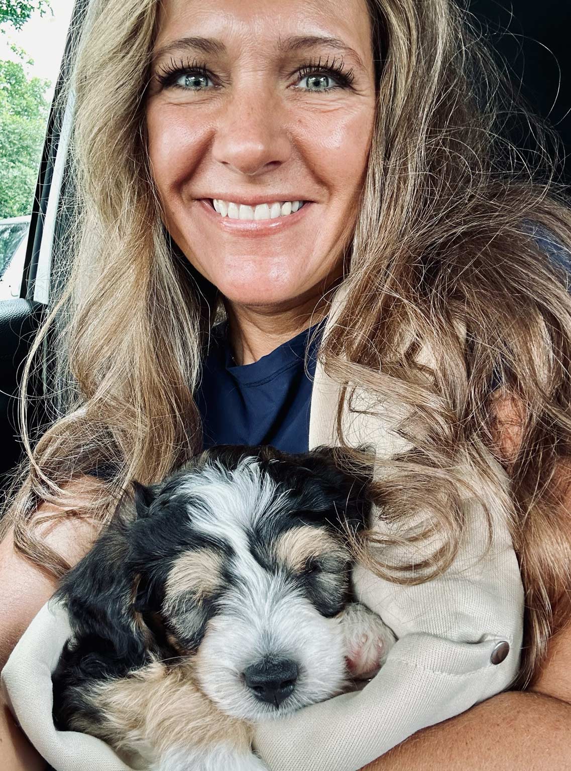 Why Adopt a BerneDoodle