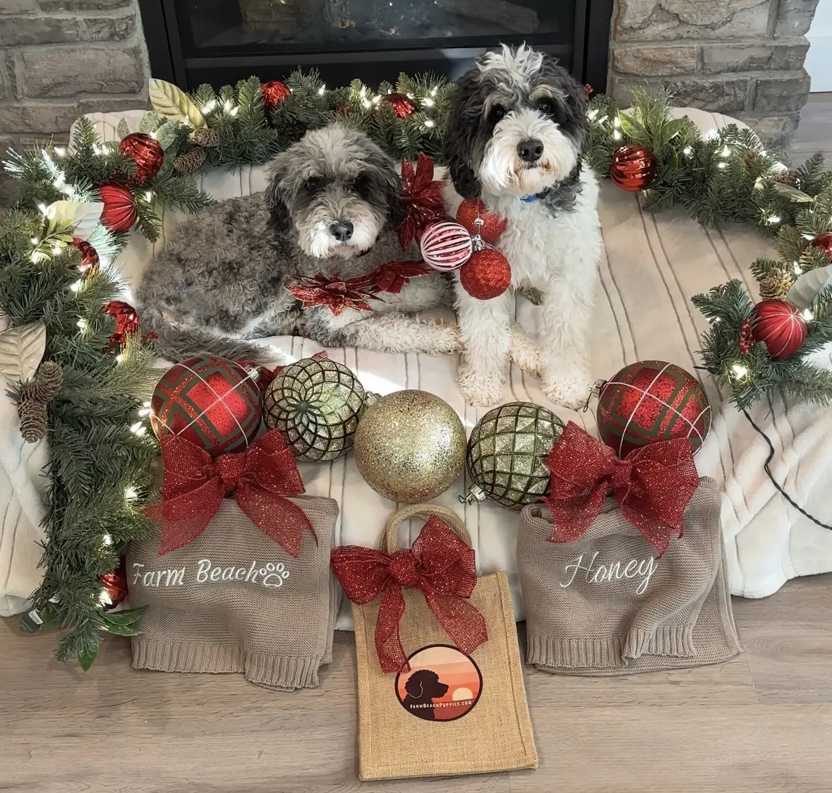 Honey and Milo 2026 v2