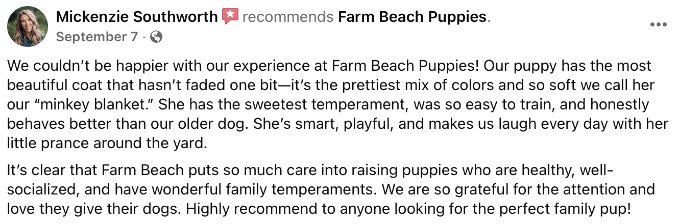 Farm Beach Puppies Reviews