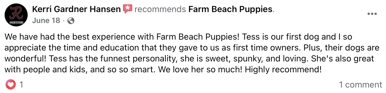 Farm Beach Puppies Reviews