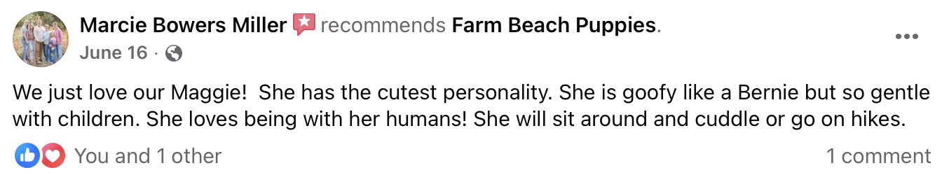 Farm Beach Puppies Reviews