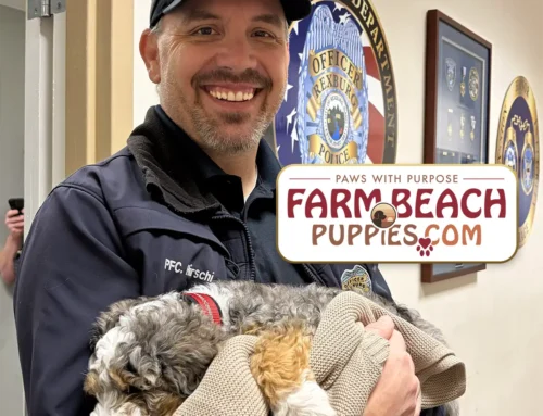 Rexburg Police Department Welcomes “Sergeant” – A Farm Beach Puppy Serving Madison Schools