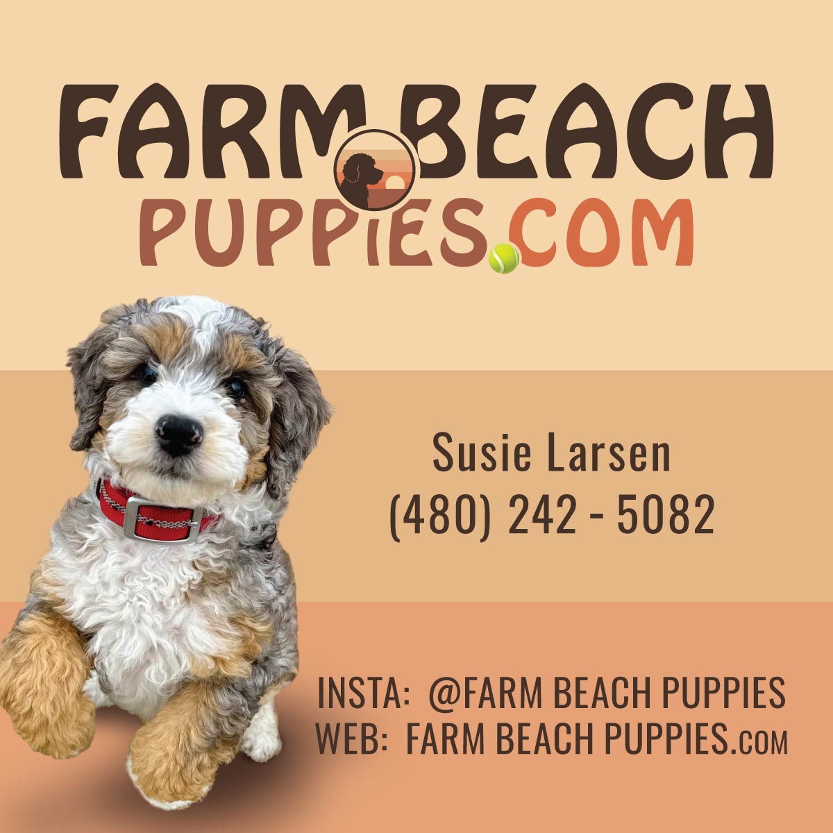 Bella's Summer 2026 Bernedoodle Puppies – Join the Waitlist Now