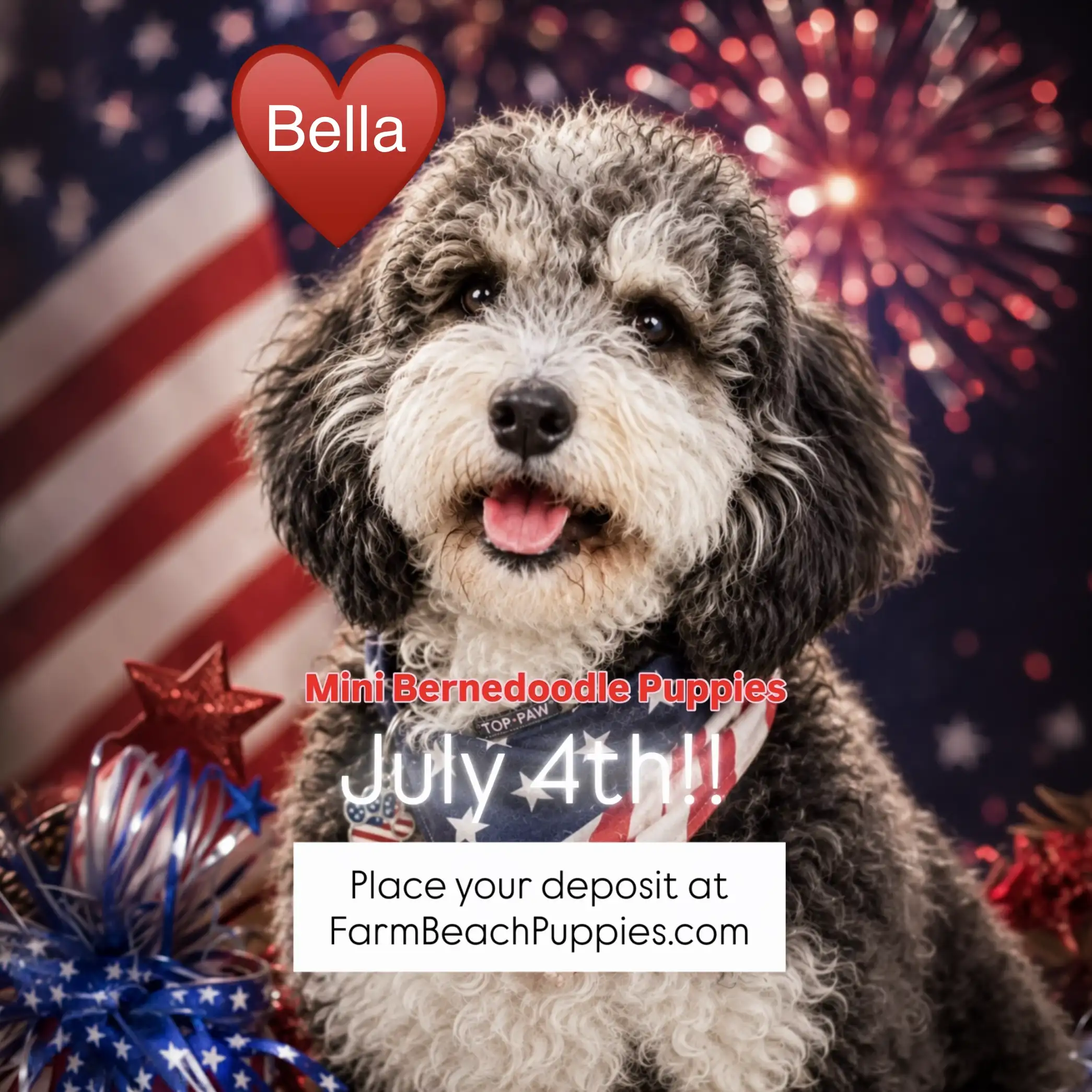 Bella July 4th 2026 2